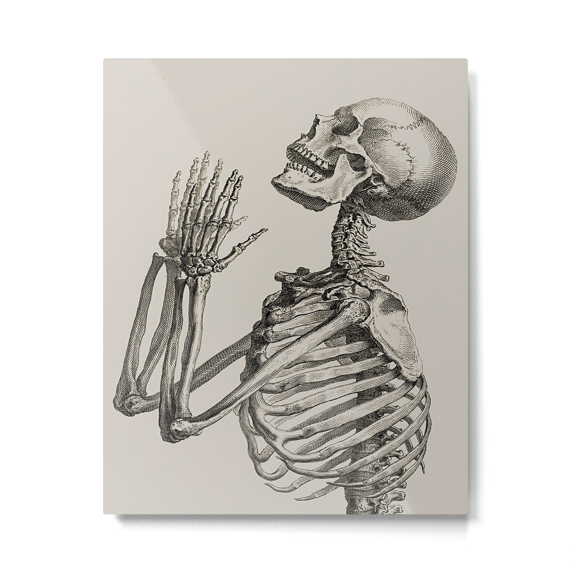 William Cheselden, Osteographia (The Anatomy of Bones), London, 1733 Praying Skeleton Metal Print Gallery Image 4