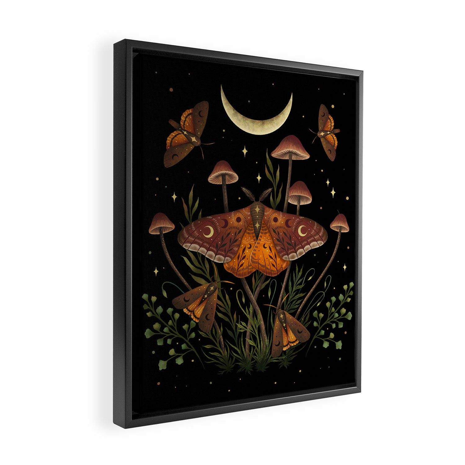 Autumn Light Underwing Framed Canvas Print Gallery Image 2