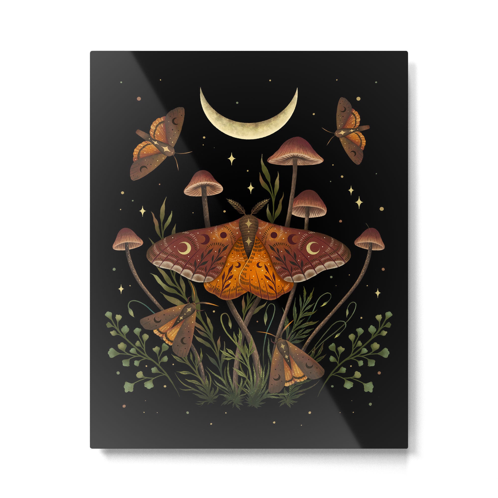 Autumn Light Underwing Metal Print Gallery Image 4