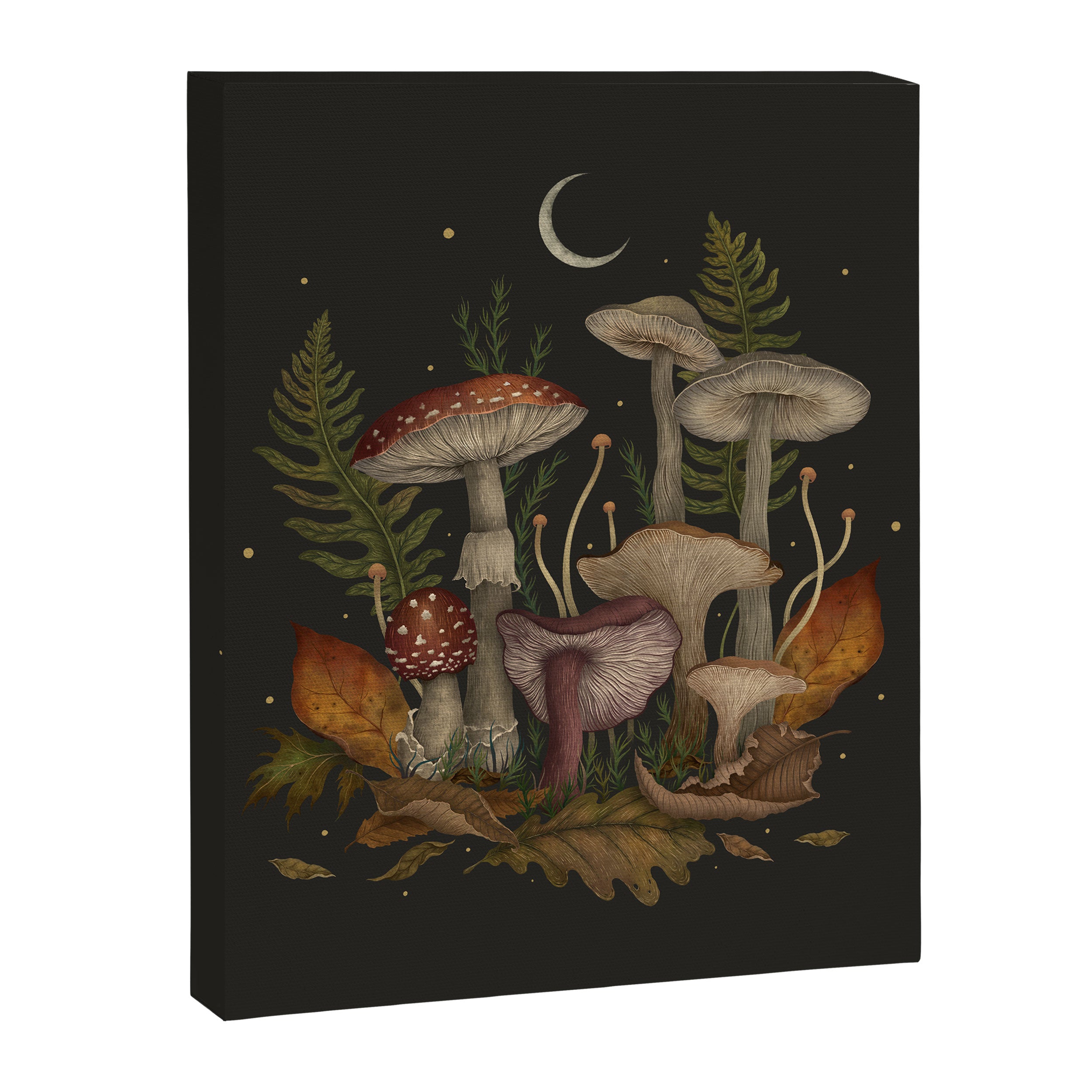 Autumn Mushrooms Canvas Print Gallery Image 8