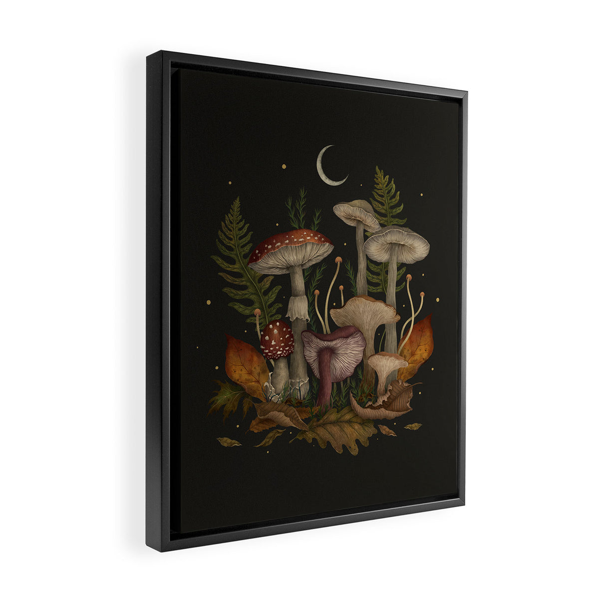 Autumn Mushrooms Framed Canvas Print Gallery Image 2