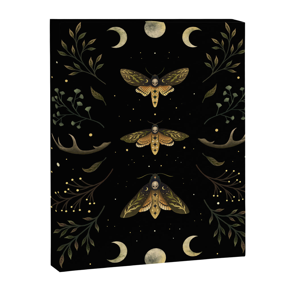 Death Head Moths Night Canvas Print Gallery Image 6