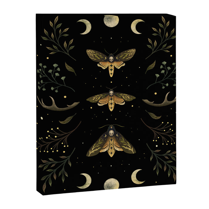 Death Head Moths Night Canvas Print Gallery Image 1