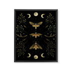 Death Head Moths Night Framed Canvas Print Gallery Image 6