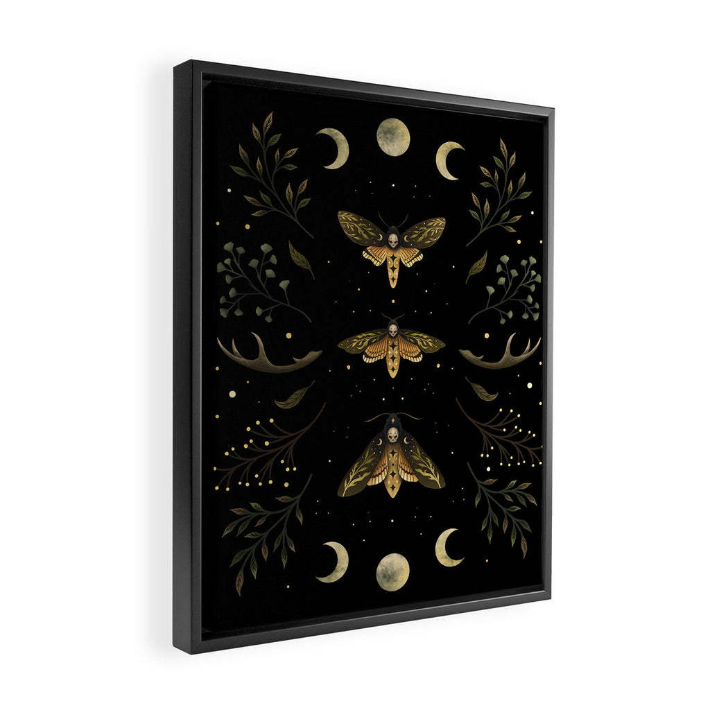 Death Head Moths Night Framed Canvas Print Gallery Image 2