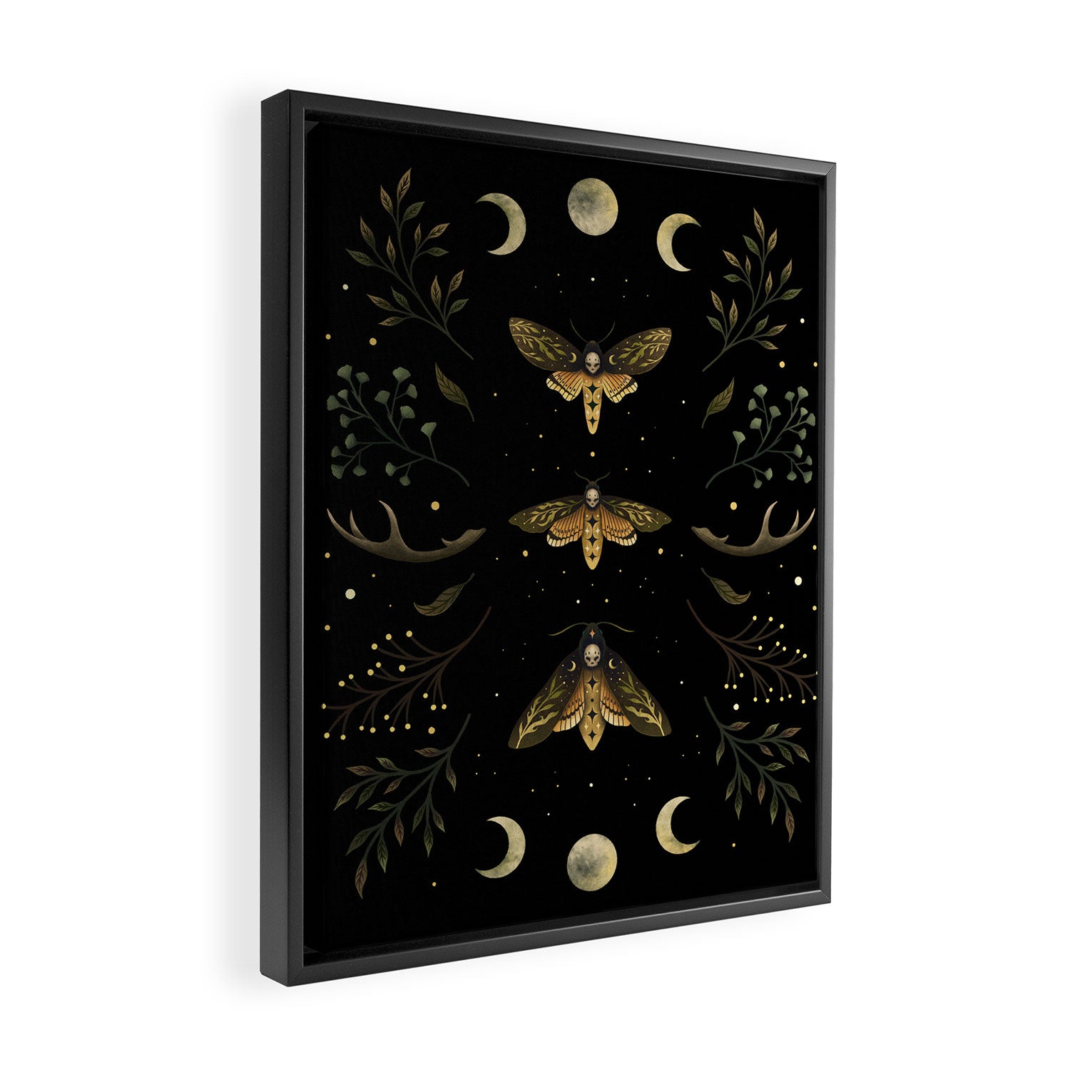 Death Head Moths Night Framed Canvas Print Gallery Image 2