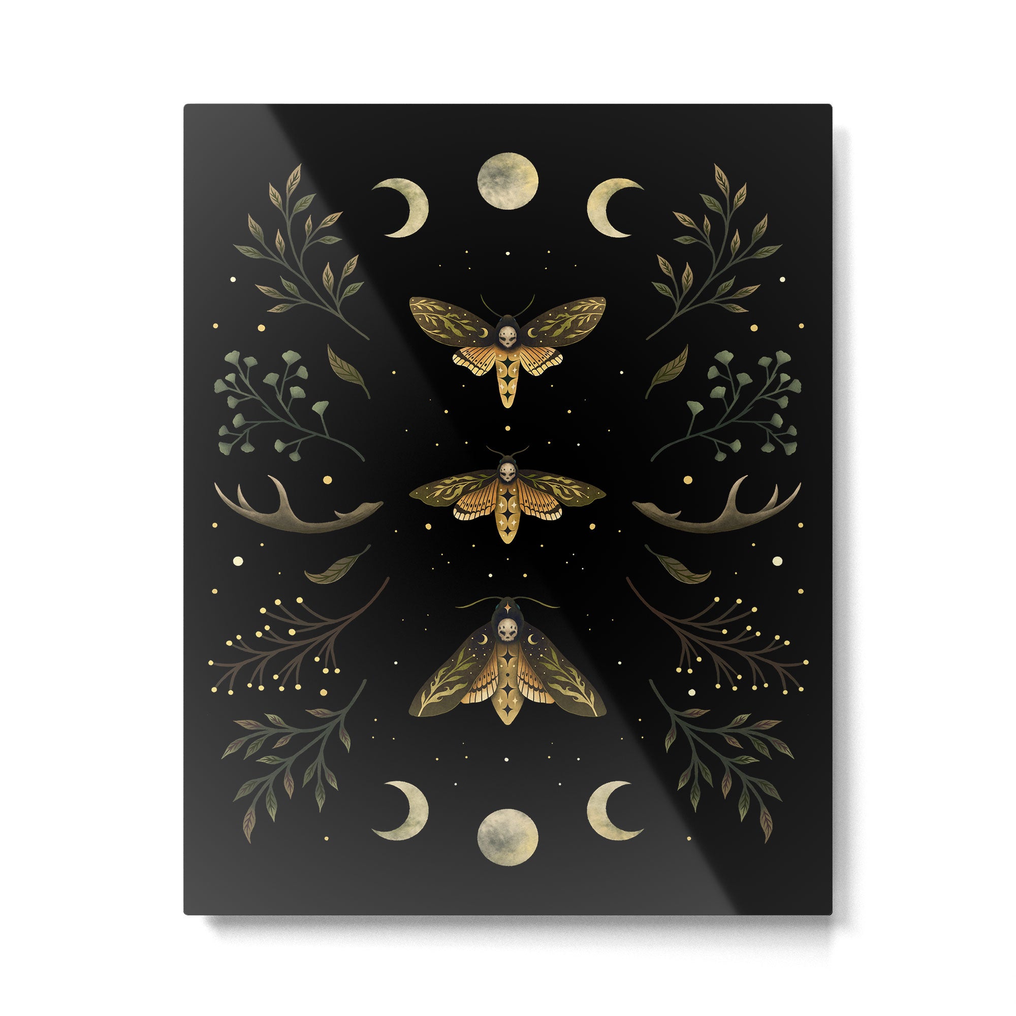 Death Head Moths Night Metal Print Gallery Image 4