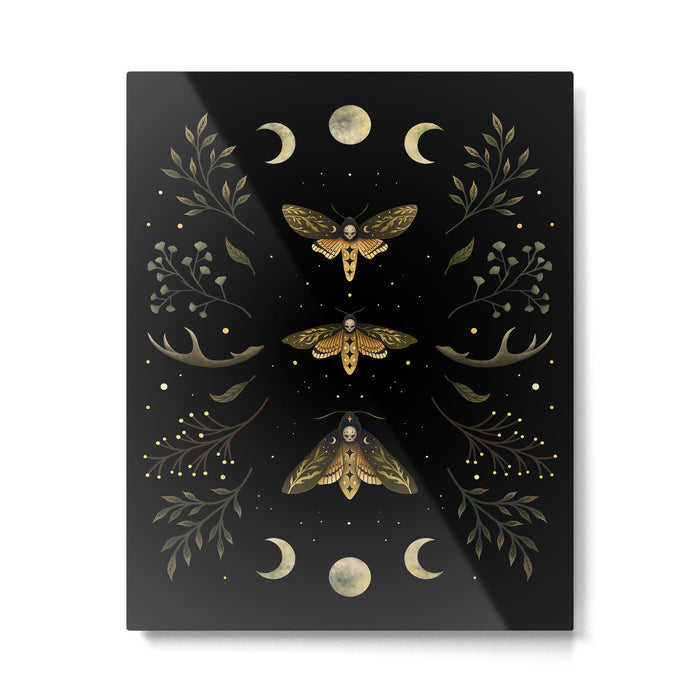 Death Head Moths Night Metal Print Gallery Image 1
