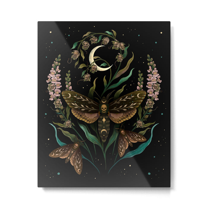 Death's Head Metal Print Gallery Image 1