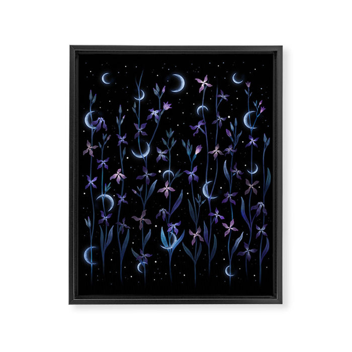 Greeting the Moon - Matthiola Framed Canvas Print Gallery Image 1