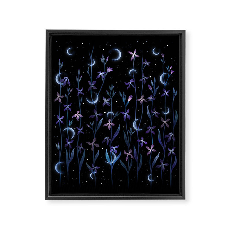 Greeting the Moon - Matthiola Framed Canvas Print Gallery Image 6