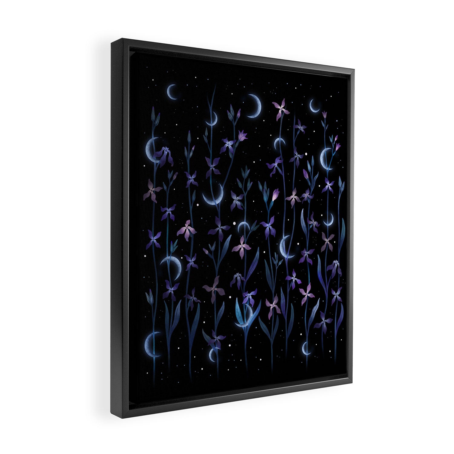 Greeting the Moon - Matthiola Framed Canvas Print Gallery Image 2