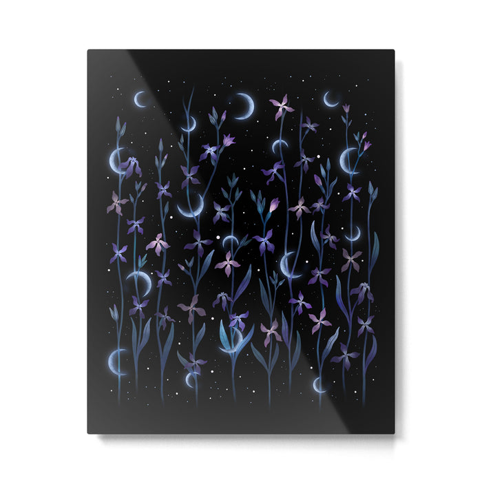 Greeting the Moon - Matthiola Metal Print Gallery Image 1