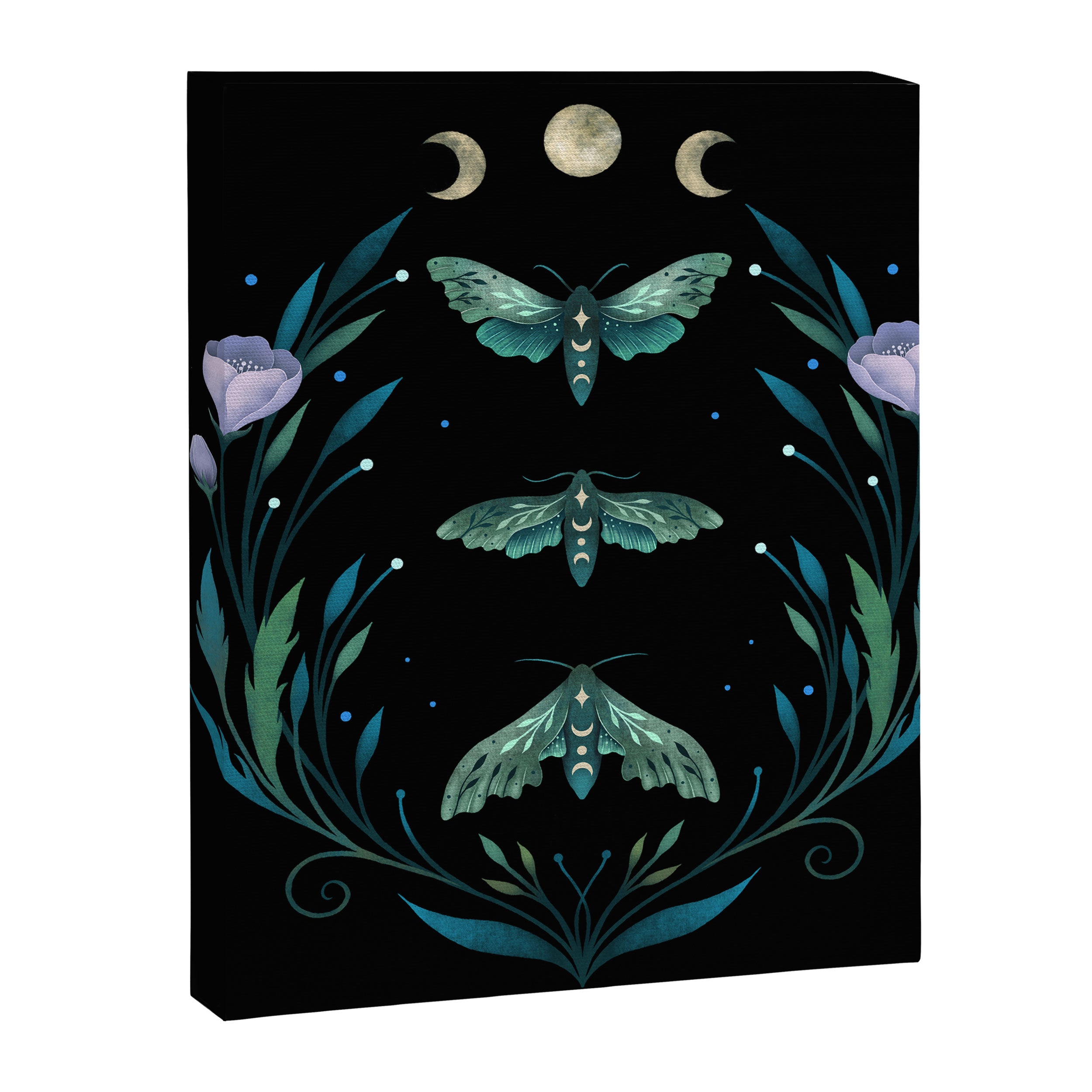Lime Hawk Moths Night Canvas Print Gallery Image 8