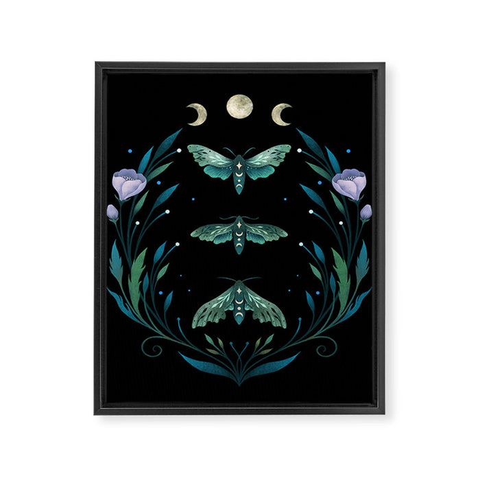 Lime Hawk Moths Night Framed Canvas Print Gallery Image 1