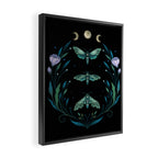 Lime Hawk Moths Night Framed Canvas Print Gallery Image 2