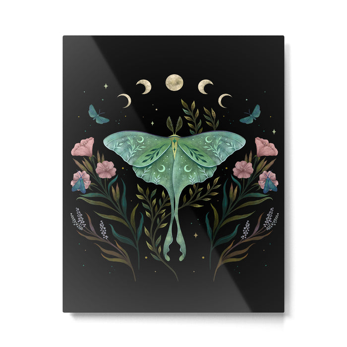 Luna and Forester Metal Print Gallery Image 1