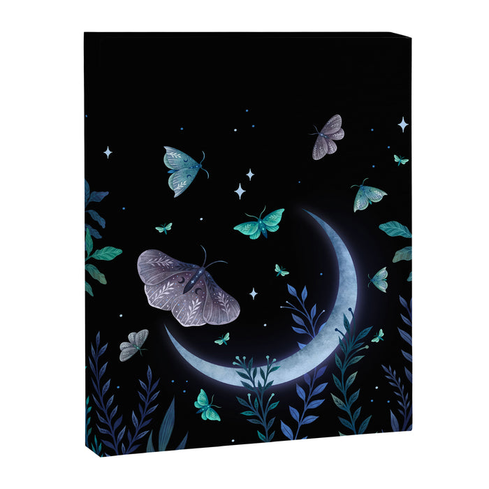 Moth Garden Canvas Print Gallery Image 1