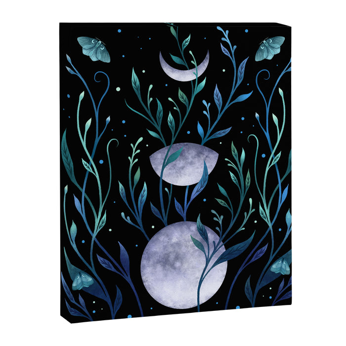 Phase & Grow - Teal Canvas Print Gallery Image 1