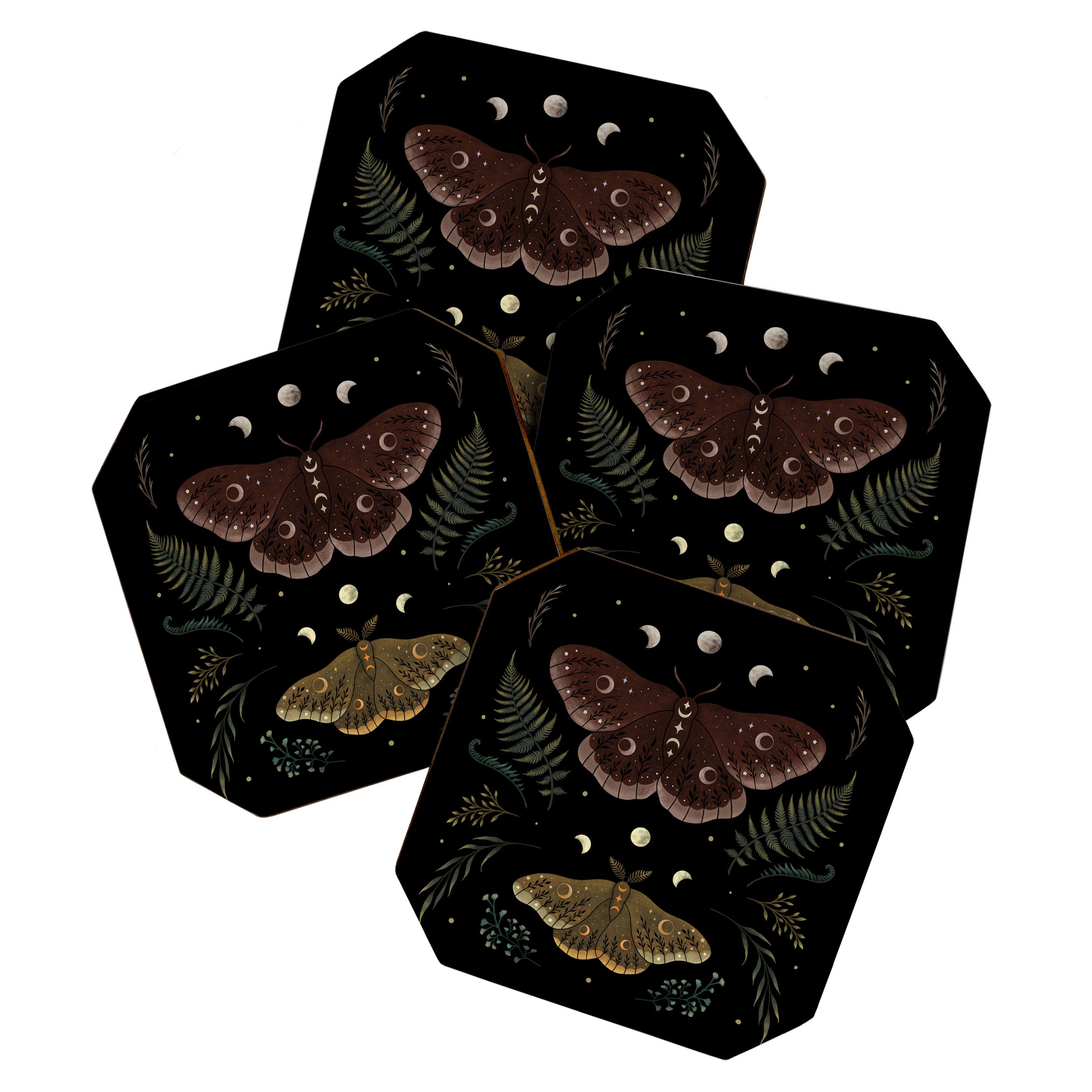 Saturnia Pavonia Coaster Gallery Image 1