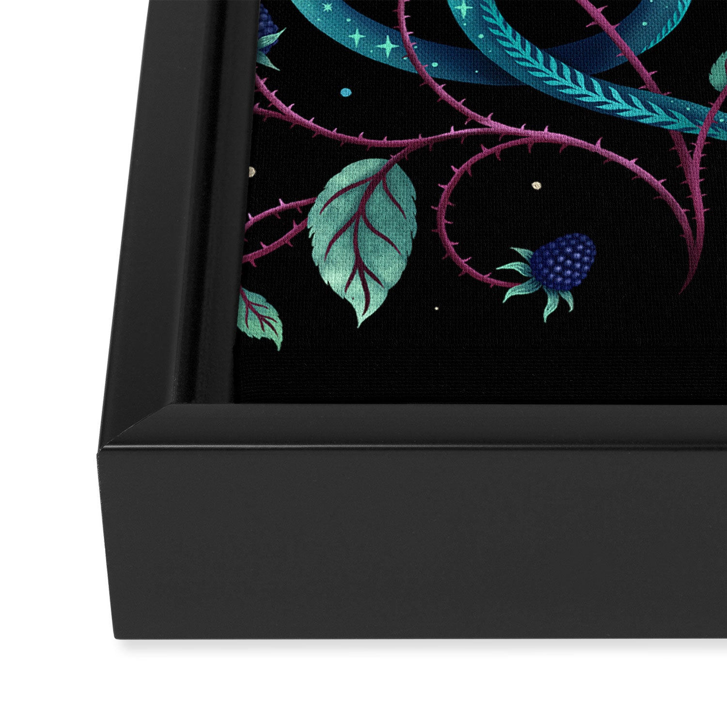 Serpent Moon Framed Canvas Print Gallery Image 3