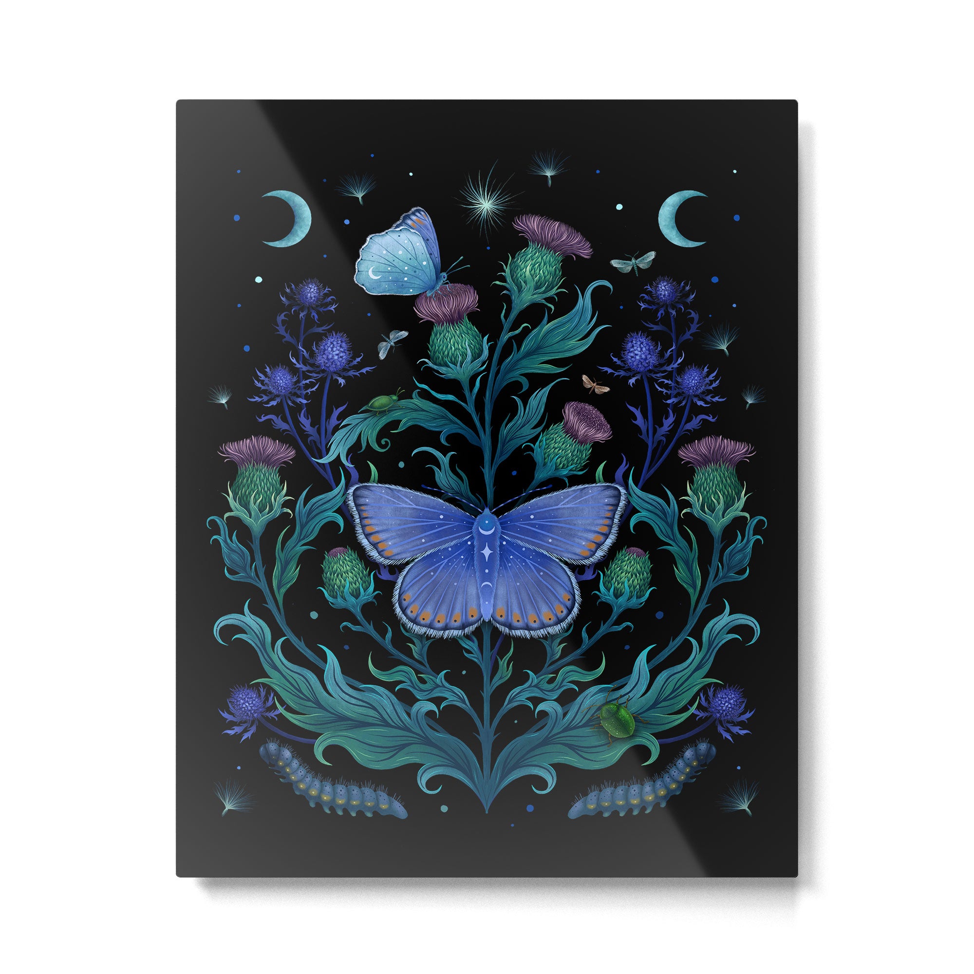 Thistle Home Metal Print Gallery Image 4
