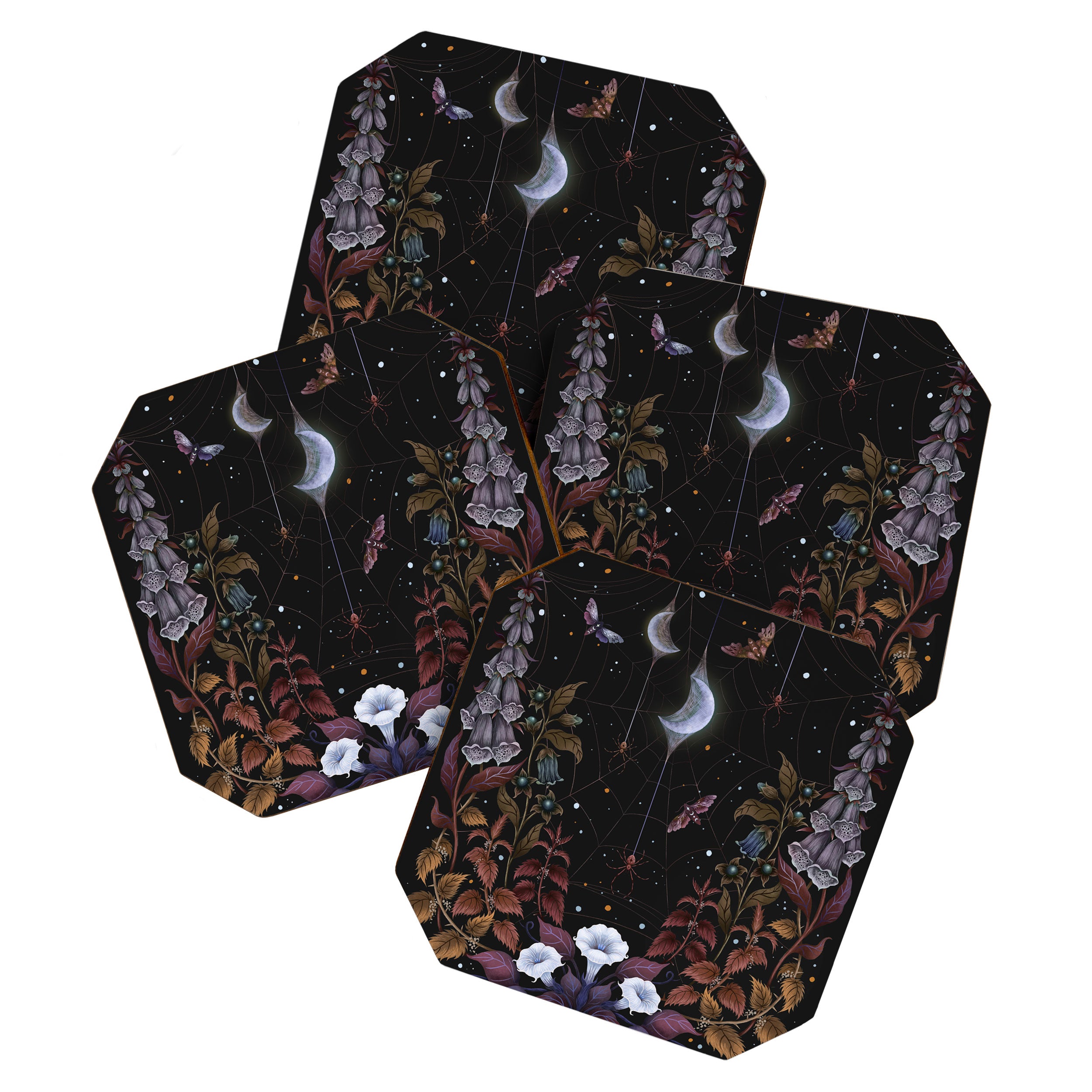 Witch Garden Coaster Gallery Image 1