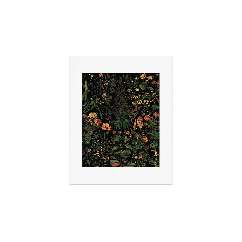 Exotic Midnight Floral Garden Art Print Gallery Image 1
