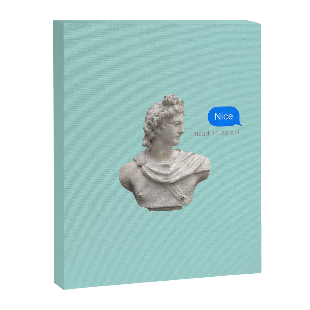 what a bust Canvas Print Gallery Image 8