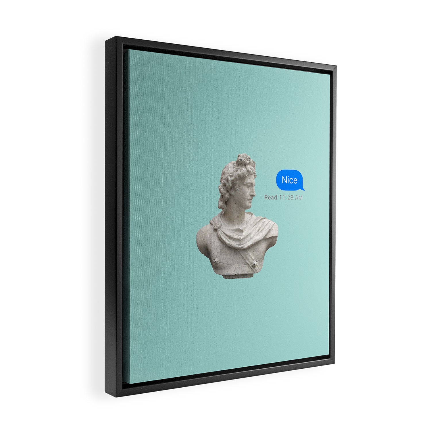 what a bust Framed Canvas Print Gallery Image 2