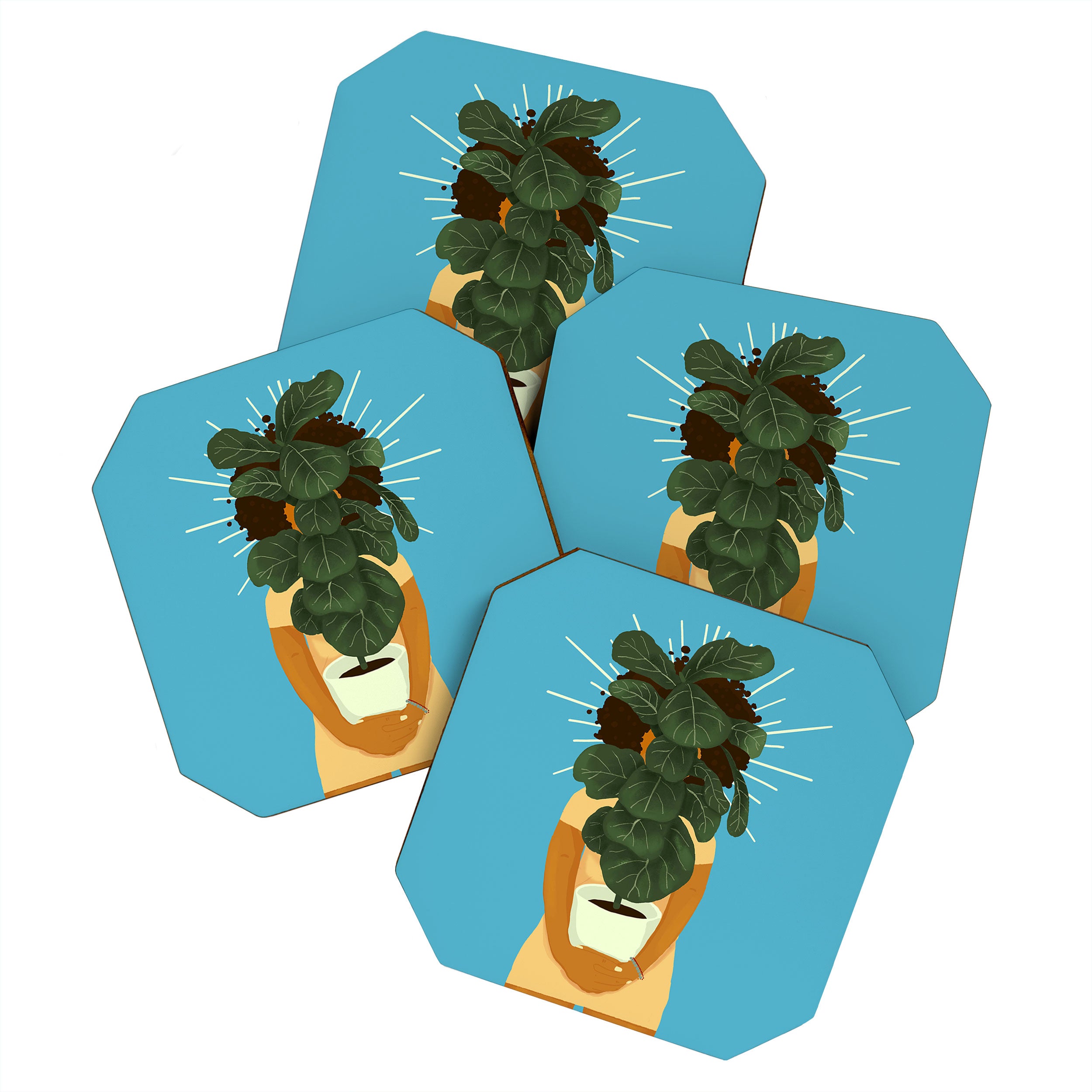 Plant Momma Coaster Gallery Image 1