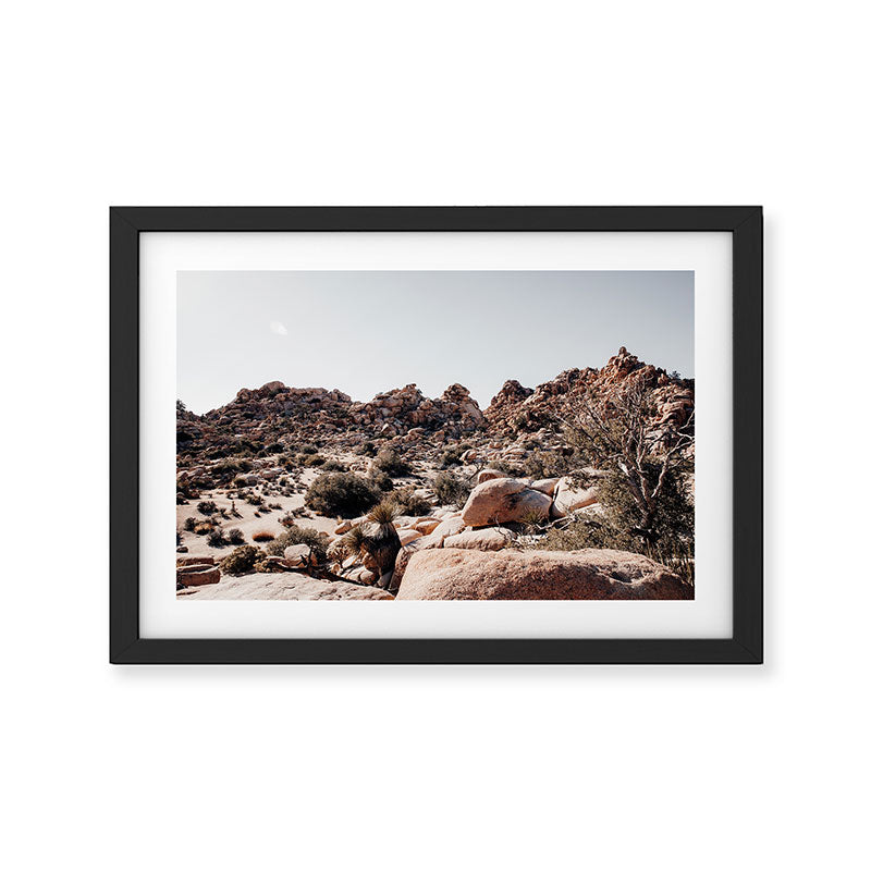 Joshua Tree 2 Framed Art Print Gallery Image 2
