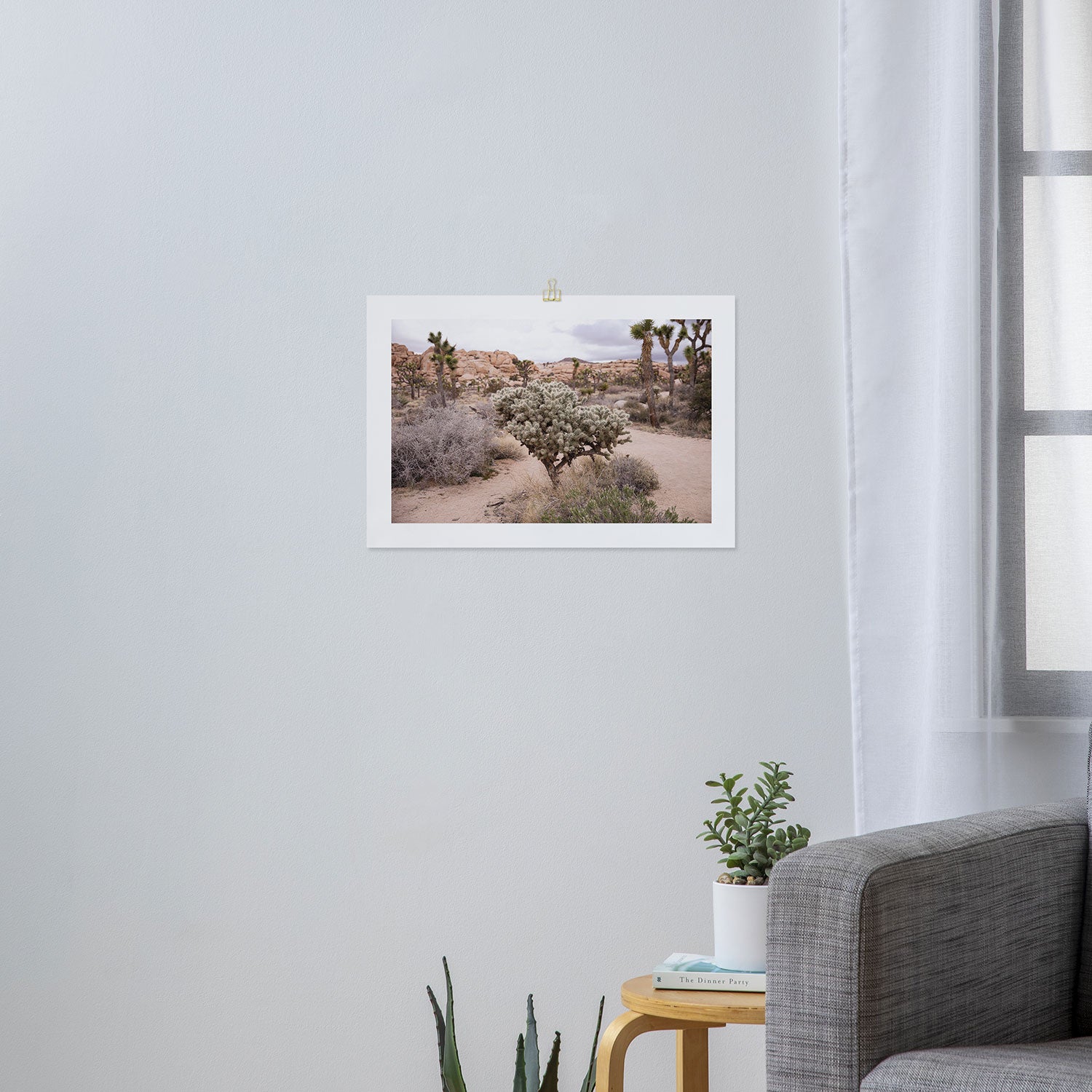 Joshua Tree Cholla Cactus Art Print Gallery Image 3
