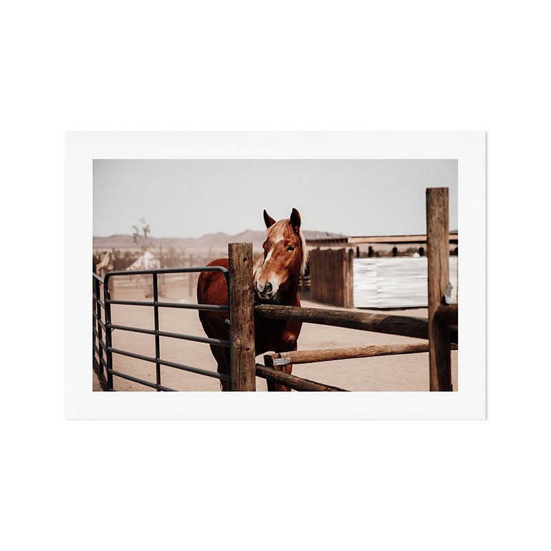 Joshua Tree Horse Art Print Gallery Image 1