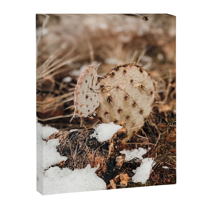 Sedona Cactus in the Snow Canvas Print Gallery Image 1