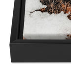 Sedona Cactus in the Snow Framed Canvas Print Gallery Image 3