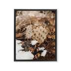 Sedona Cactus in the Snow Framed Canvas Print Gallery Image 6