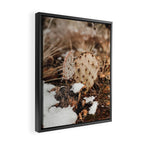Sedona Cactus in the Snow Framed Canvas Print Gallery Image 2