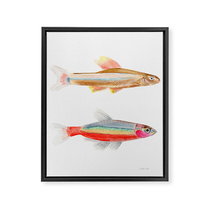 Colorful Fish Framed Canvas Print Gallery Image 1