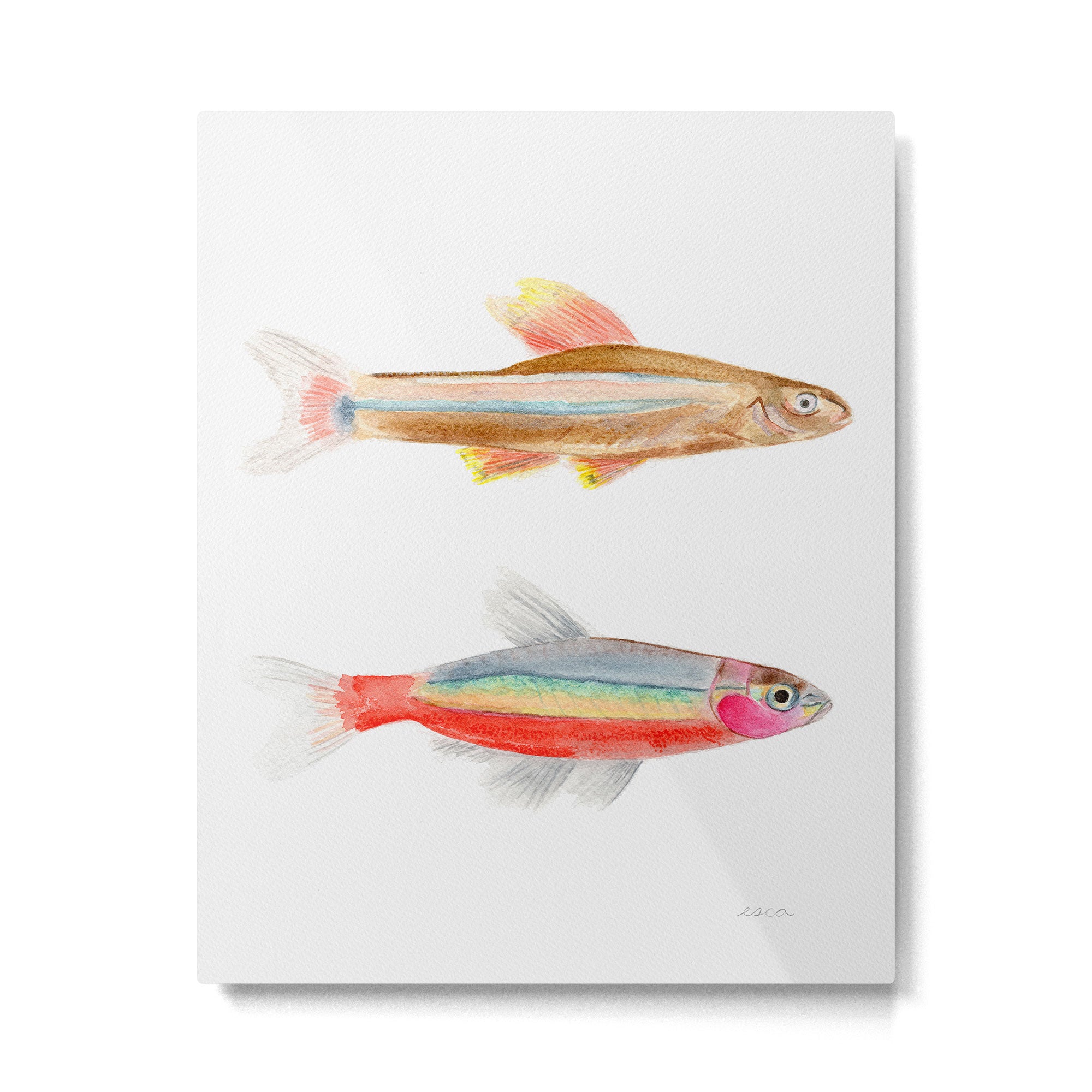 Colorful Fish Metal Print Gallery Image 6
