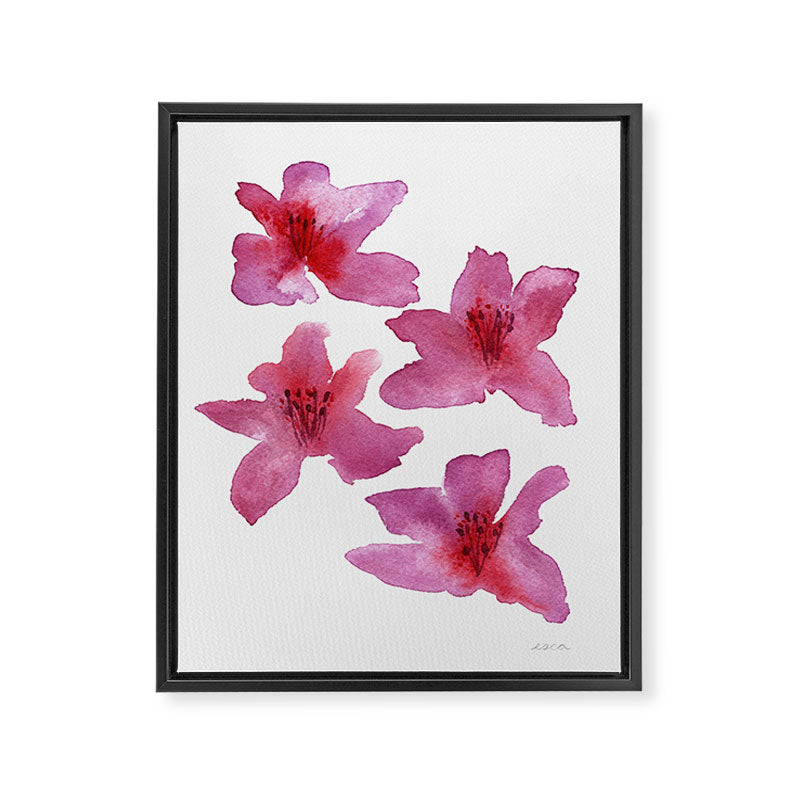 Pink Azaleas Orchid Flower Framed Canvas Print Gallery Image 6