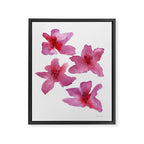 Pink Azaleas Orchid Flower Framed Canvas Print Gallery Image 6