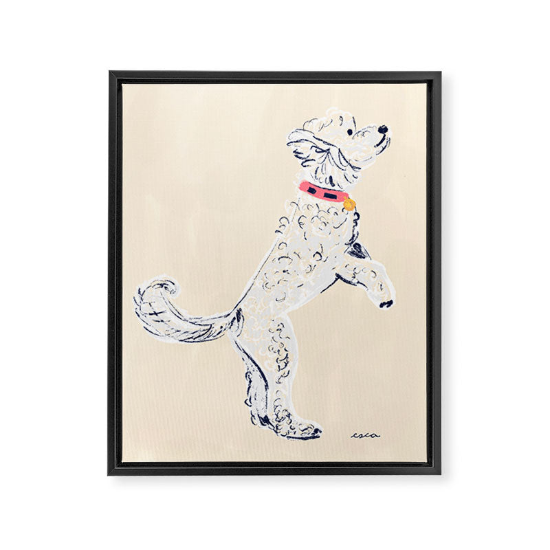 White Poodle  Framed Canvas Print Gallery Image 6