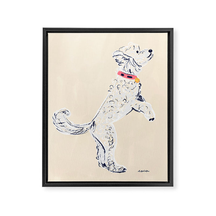 White Poodle  Framed Canvas Print Gallery Image 1