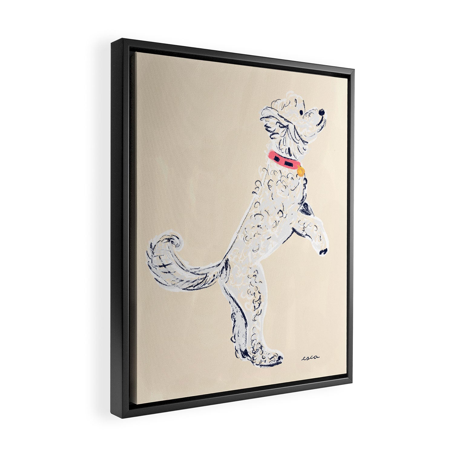 White Poodle  Framed Canvas Print Gallery Image 2