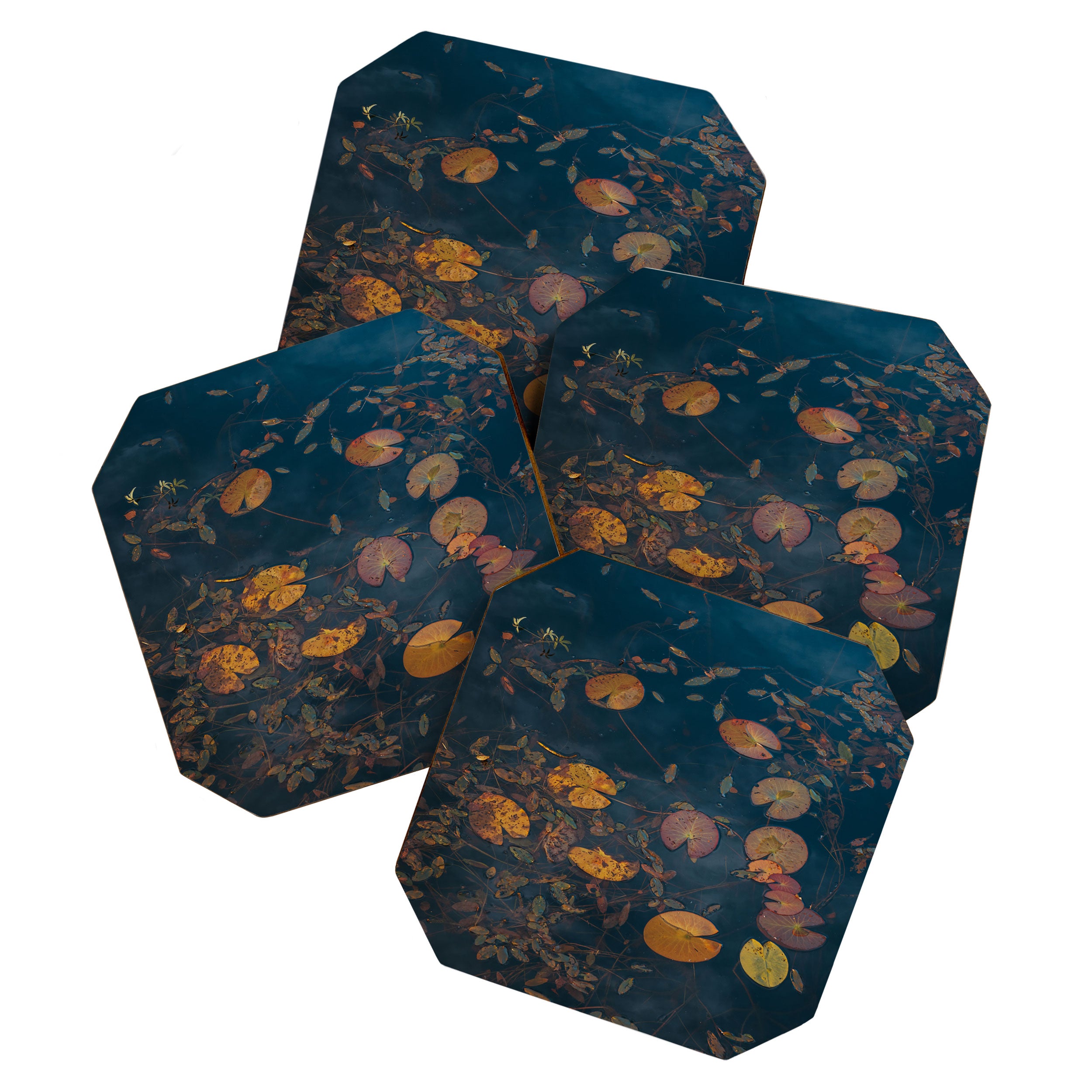 Autumn Moment - Landscape and Nature Photography Coaster Gallery Image 1
