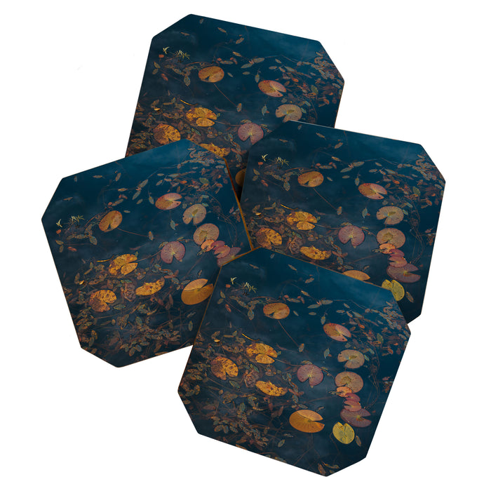 Autumn Moment - Landscape and Nature Photography Coaster Gallery Image 1