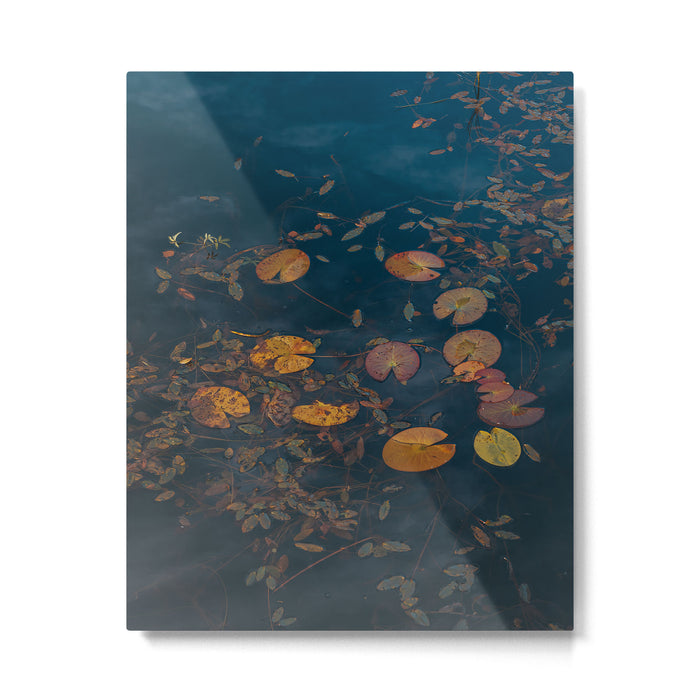 Autumn Moment - Landscape and Nature Photography Metal Print Gallery Image 1