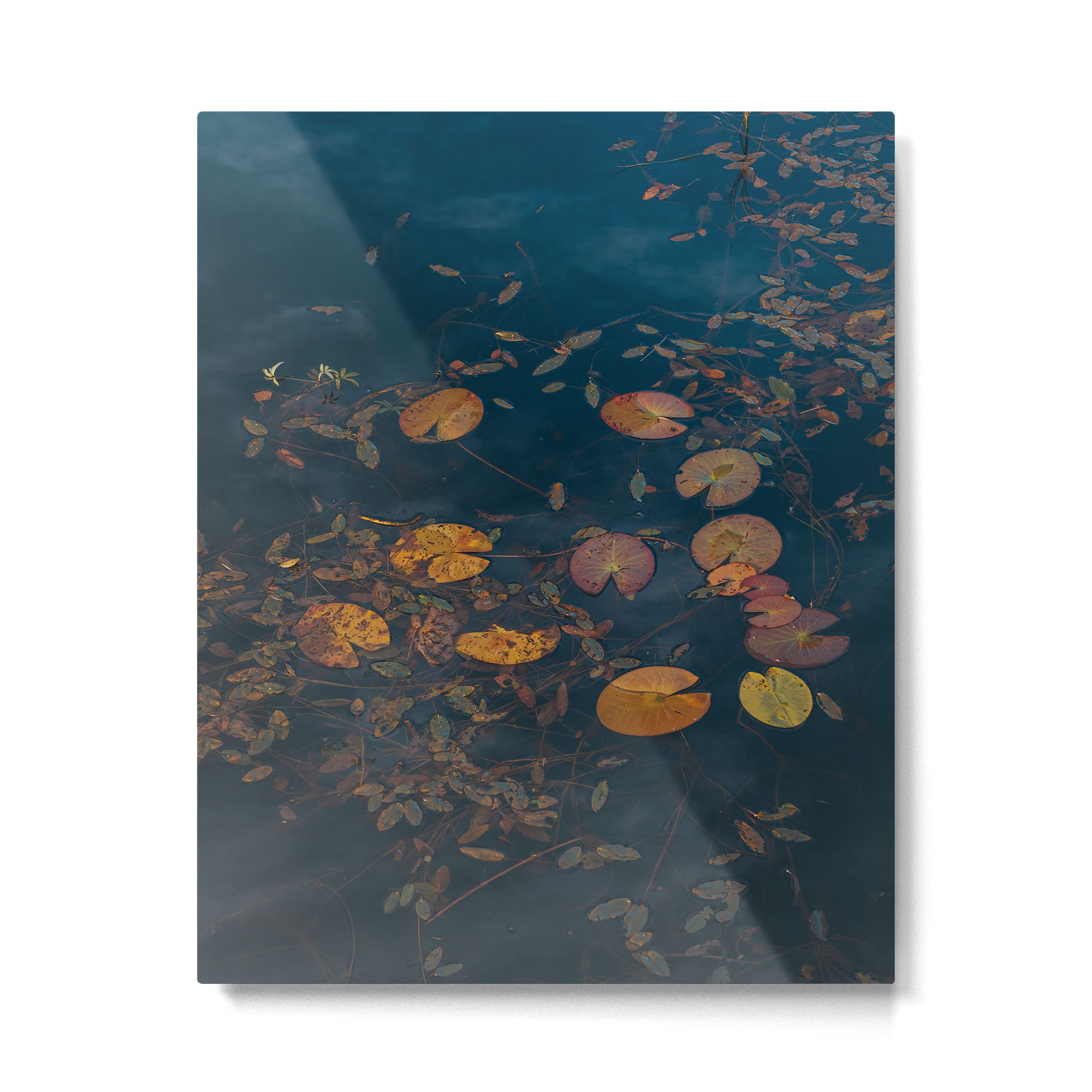 Autumn Moment - Landscape and Nature Photography Metal Print Gallery Image 4