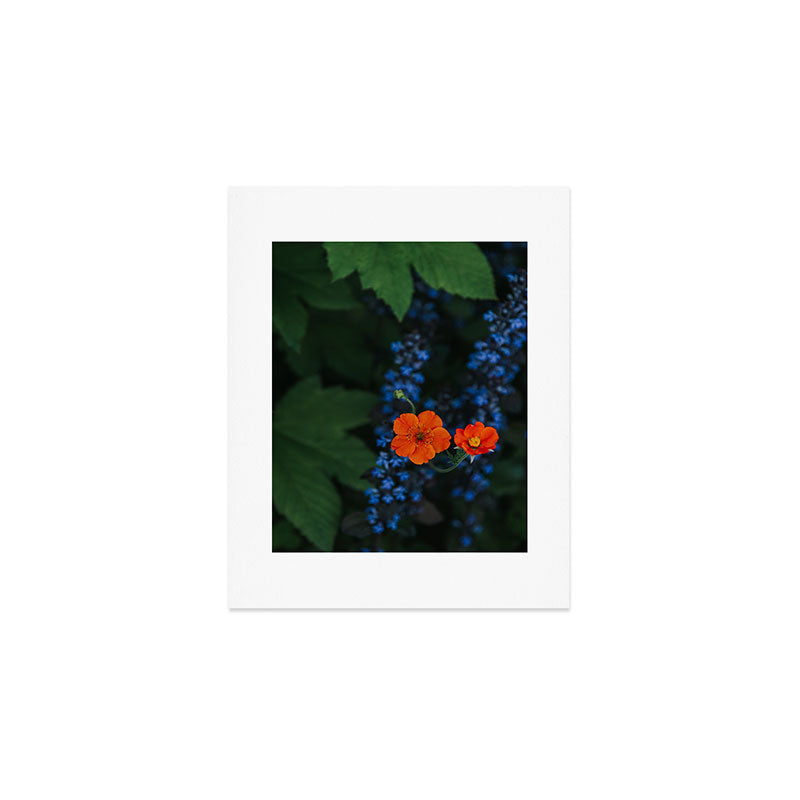 Bloom Time - Landscape and Nature Photography Art Print Gallery Image 1